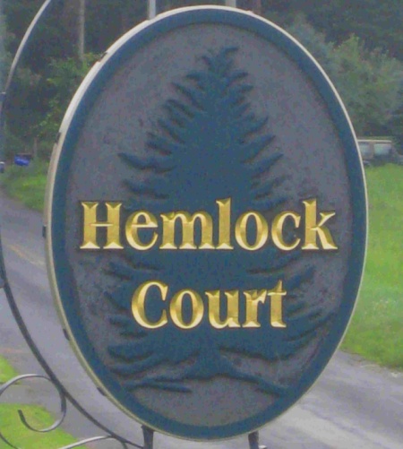 hemlock